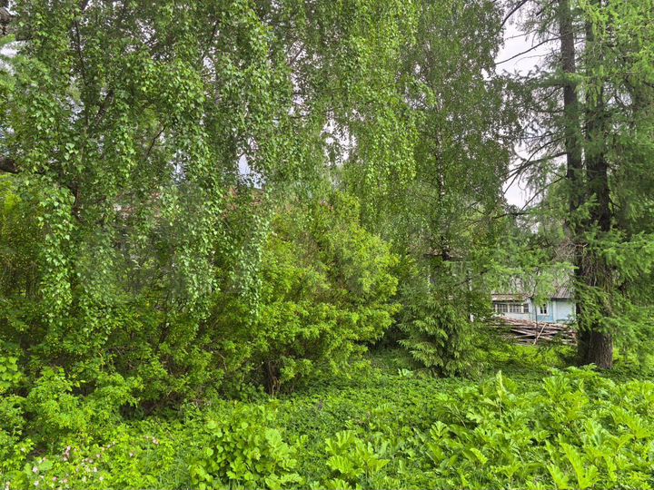 Дом 299,5 м² на участке 56,4 сот.