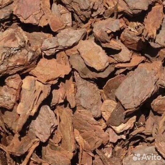 Кора лиственницы