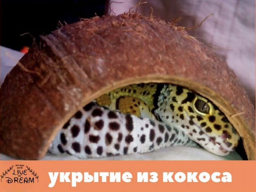 Кокосовые домики