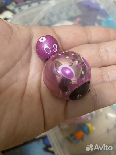 Божьи коробки moose