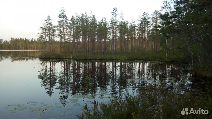 Ищу попутчицу, Ленинградская область