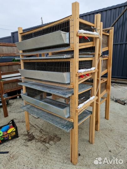 Клетки для перепелов б/у