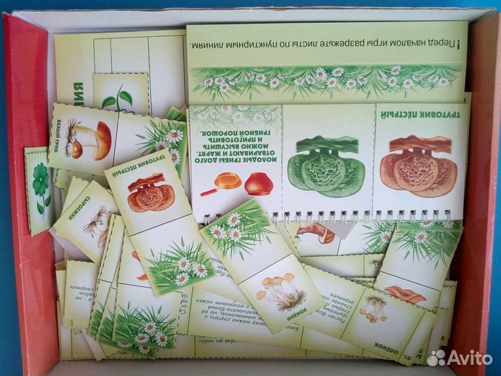 Настольная игра