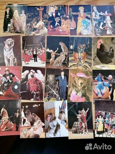 Цирк,Ленинград, Мультяшки