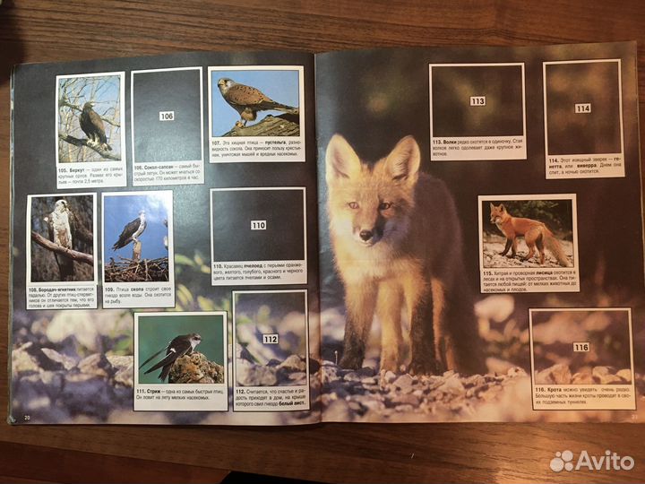 Альбом с наклейками Panini 1996 год