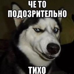 1.T7XlO7a19VzTnGFa90pR05aZ4VxbkGFa05zhXg.3uwAqCm_OzRu9ZdrCheimU7fj3cS7pqEHuCX6Jt2YFY