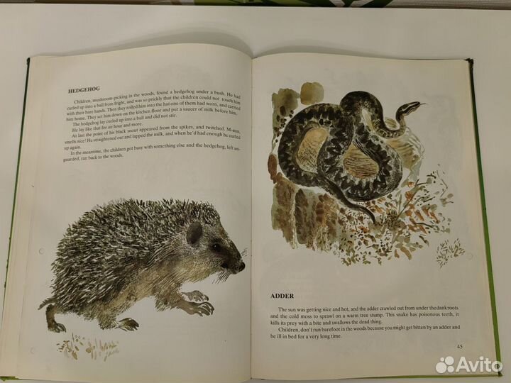 Книга о животных на англиском языке