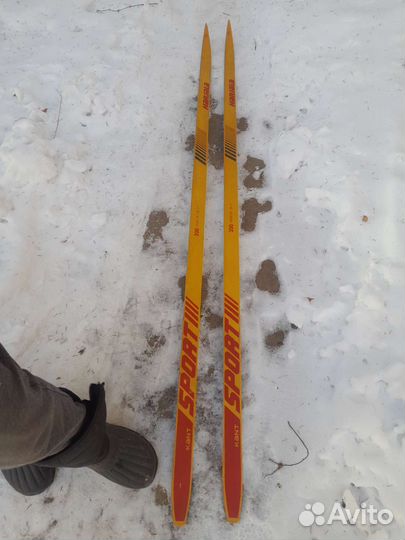 Лыжи деревянные СССР