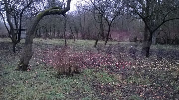 3-к. квартира, 82 м², 1/2 эт.