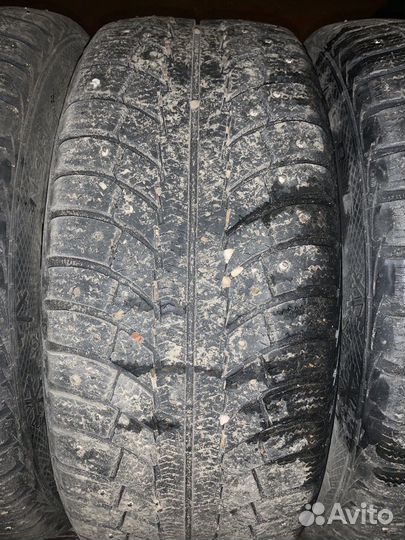 Gislaved Nord Frost 5 205/55 R16
