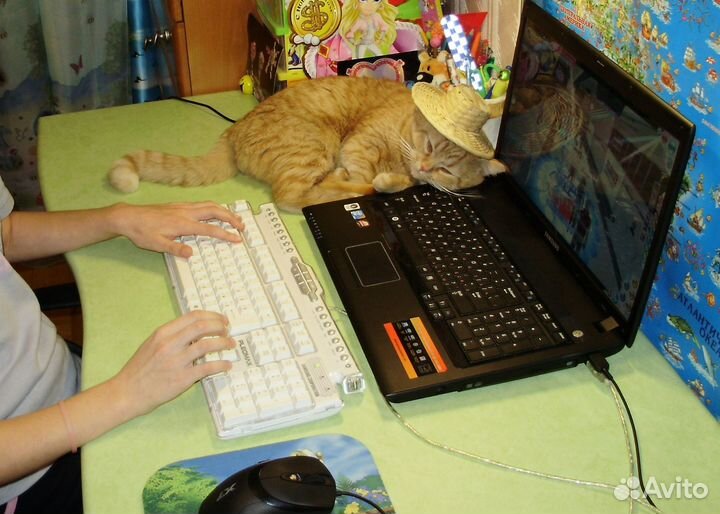 Компьютерно-письменный стол