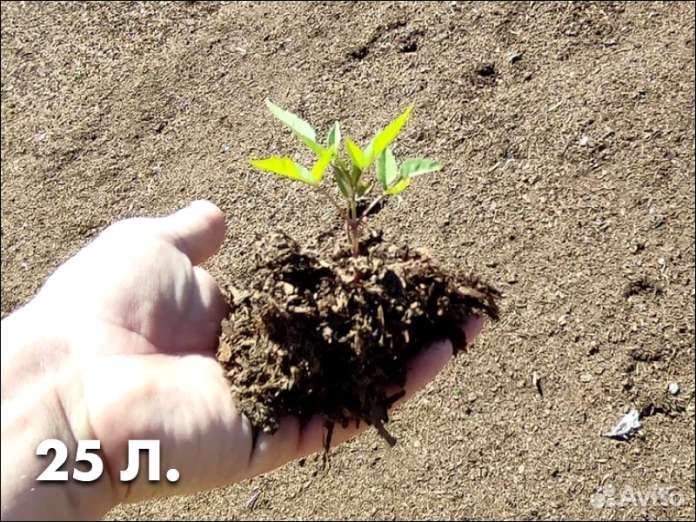 Удобрение навоз коровий в мешках 25 л