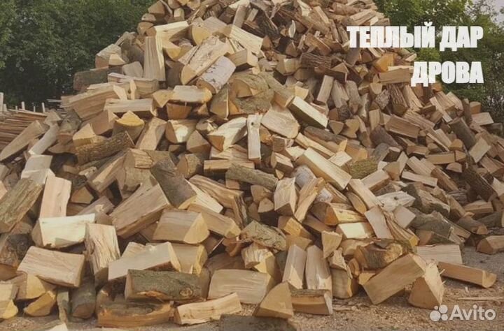Дрова сухие