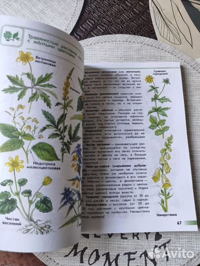 Атлас-определитель От Земли до неба