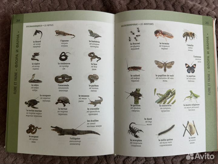 Французско-русский словарь