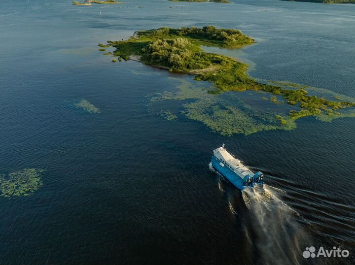 Судно на воздушной подушке 