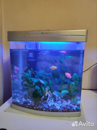 Аквариум