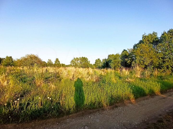 Участок 7 сот. (СНТ, ДНП)