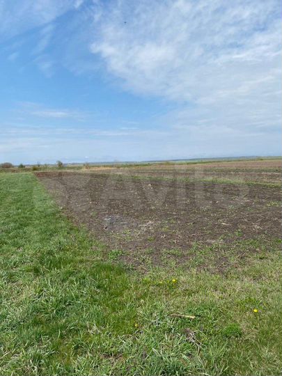 Участок 80 сот. (ИЖС)