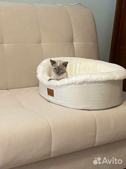 Лежанка для собак и кошек