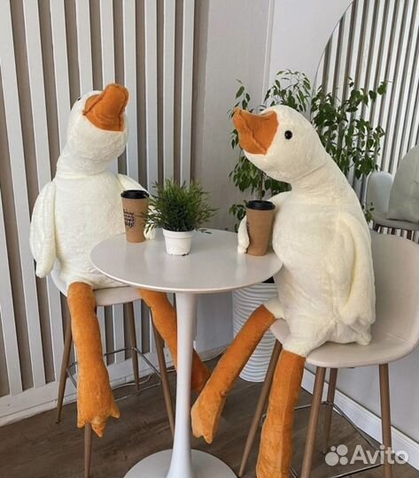 Гусь обнимусь