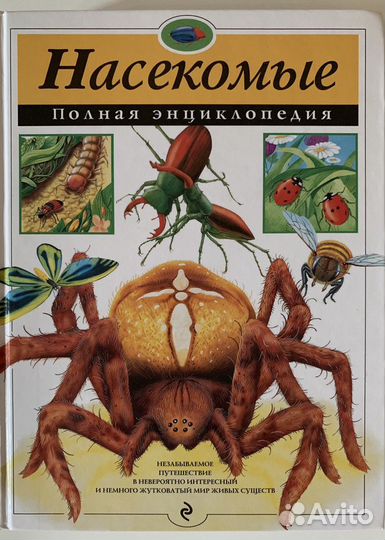 Энциклопедия Насекомые