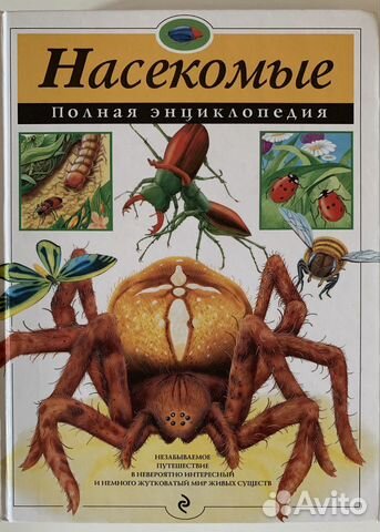 Энциклопедия Насекомые