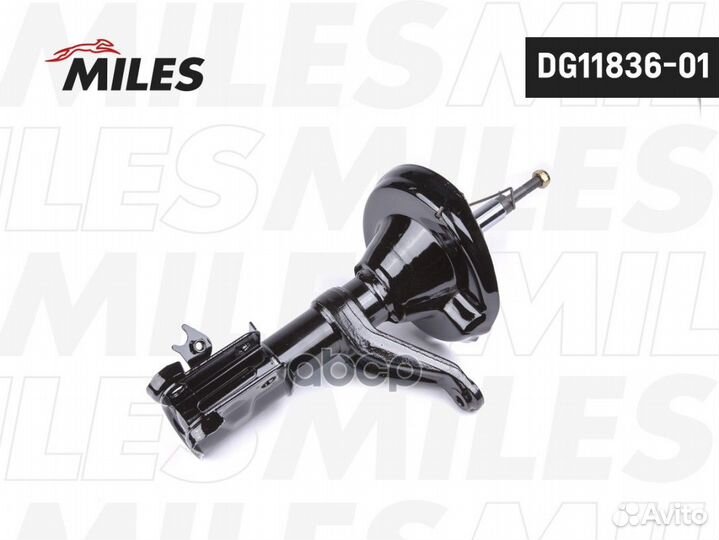 DG11836-01 DG11836-01 Miles
