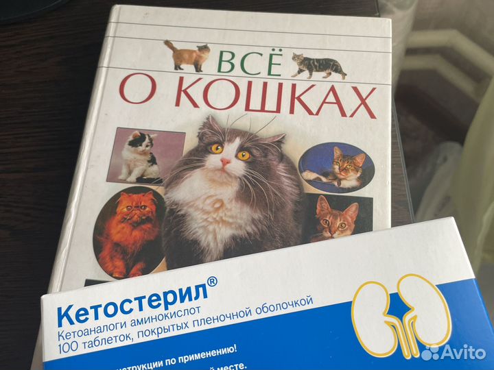 Книга о кошках кетостерил
