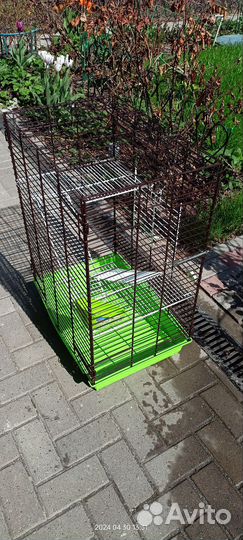 Большая Клетка для грызунов. Чистая