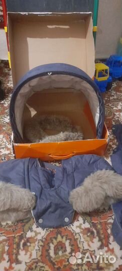 Зимний кит Stokke Xplory