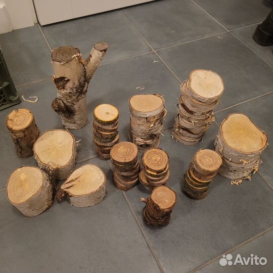 Спилы дерева