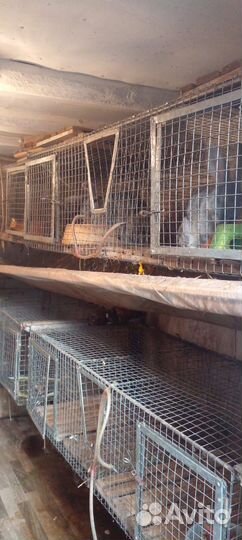 Клетки для кроликов бу