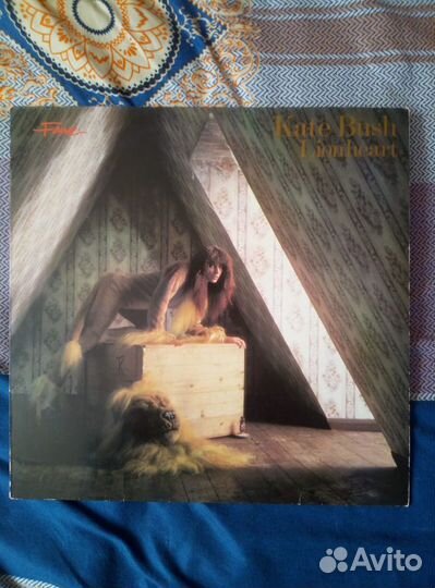 Alison Moyet Kate Bush Paula Abdul Cyndi Lauper