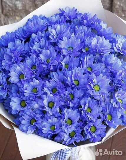 Букет из 15 хризантем с доставкой