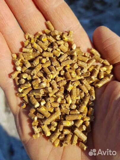 Комбикорм кукурузный от производителя