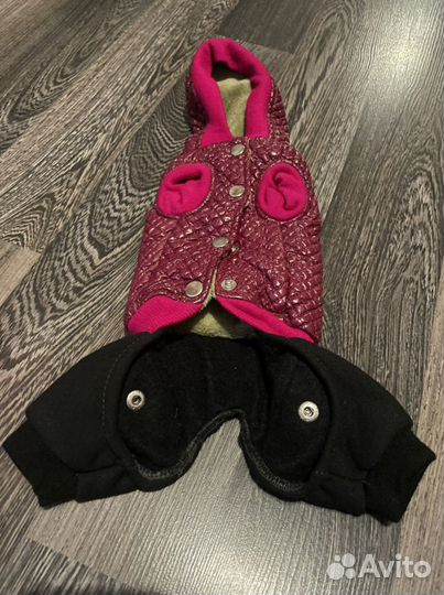 Одежда для маленькой собачки