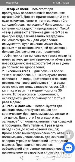 Мох сфагнум, боровой