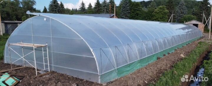 Теплица фермерская 500м2