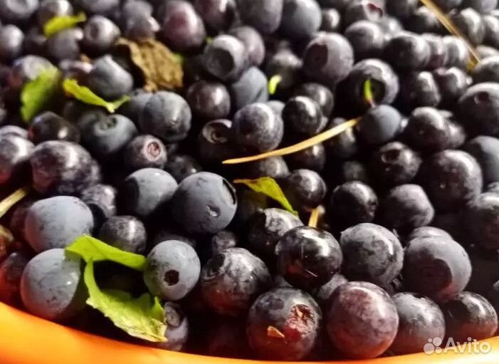 Черная смородина ягоды