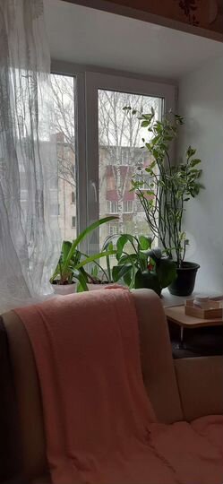 Комната 15,6 м² в 1-к., 4/5 эт.