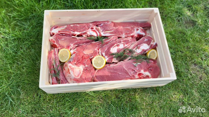 Мясо телятина на кости