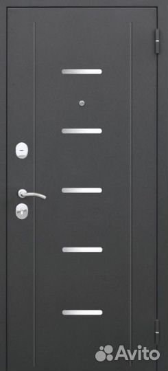 Входные двери 205 на 860