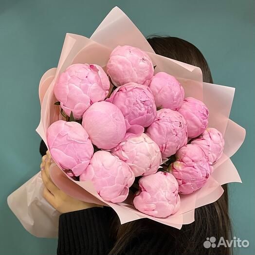 Пионы цветы букет 51 101 пион