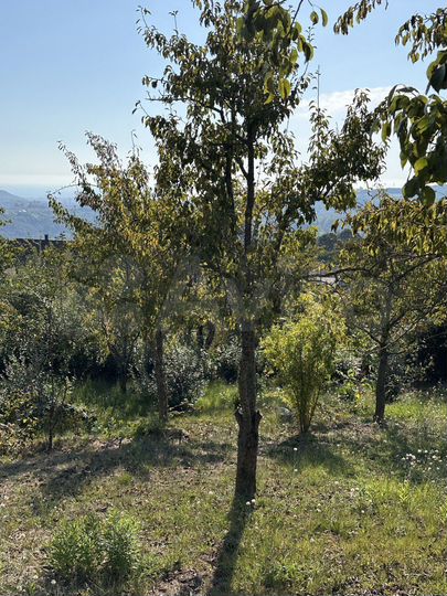 Участок 34 сот. (ИЖС)