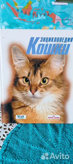Энциклопедия про кошек