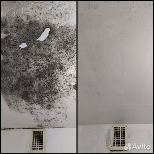 Дезинфекция Уничтожение обработка тараканов клопов