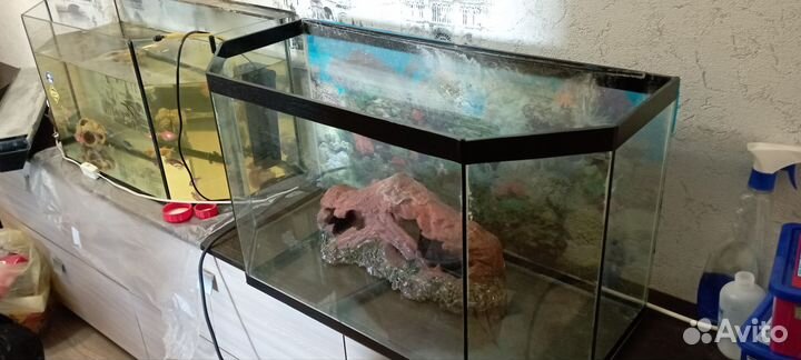 Аквариум