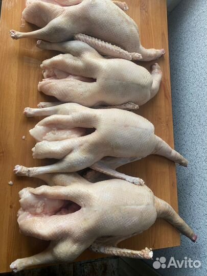 Мясо гуся