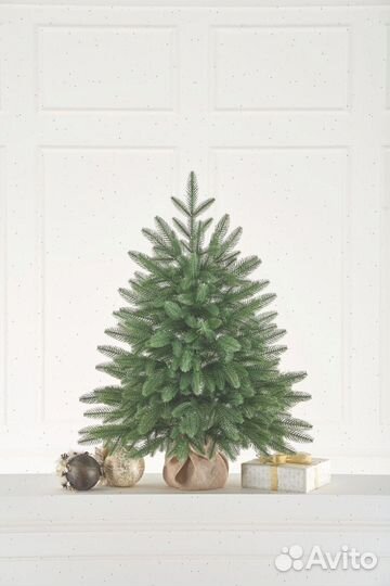 Ель настольная Романовская 0,9 м